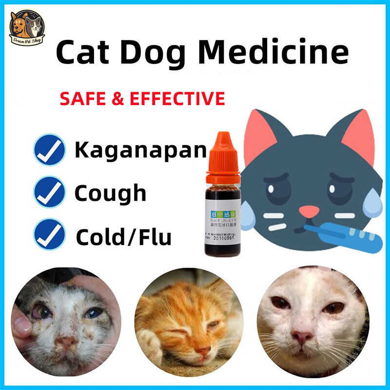 1 2024 COD Bottle Dream Shop Cat Dog Cold Medicine for FLU Cough Kitten