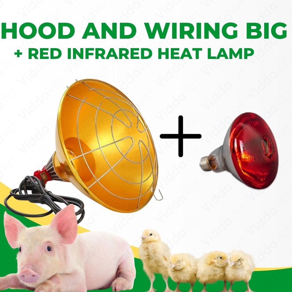 Hood and Wiring Big with Red Infrared Lamp Livestock Brooder Heat ...