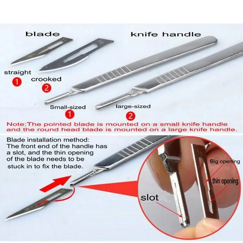 7/18PCS dissector Microscope dissecting kit Biology student laboratory ...
