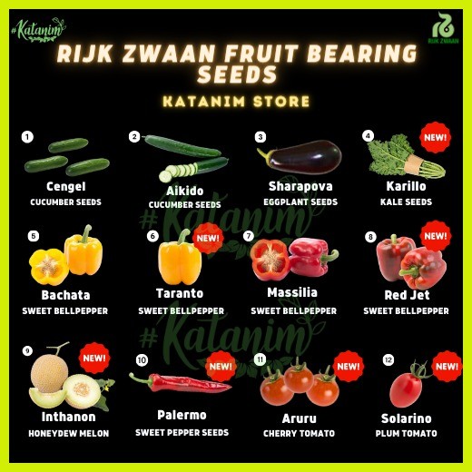 ¤ katanim FRUIT BEARING Seeds Collection 3 Rijk Zwaan Cucumber
