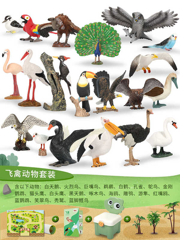 Set Realistic PVC Animal Science Education Toys Figurines