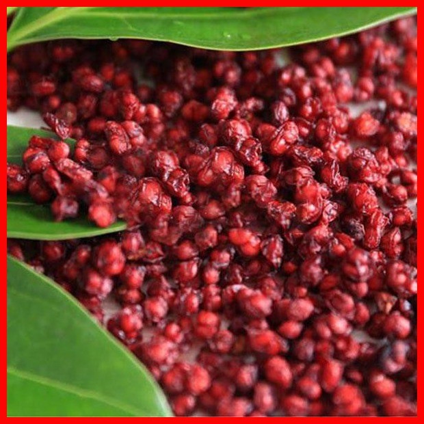 10Pcs/Pack Schisandra Seeds Chinese Magnolia Vine Edible Garden Fruit