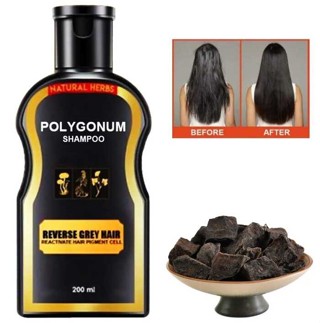 BEST SELLER Authentic Polygonum Dye at Conditioner Organic Hair ...