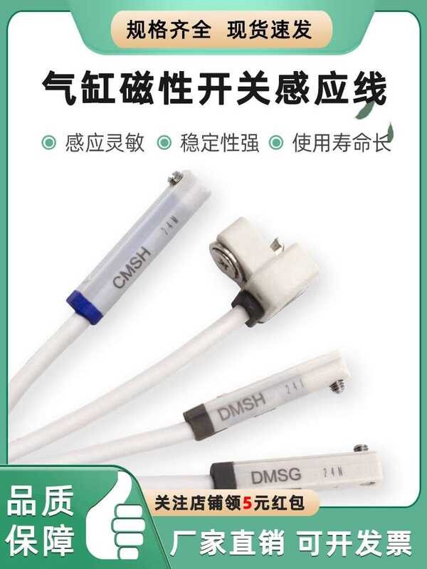 CS1 Magnetic Switch Electronic Type Two-Wire Induction Line CMSG/DMSG ...