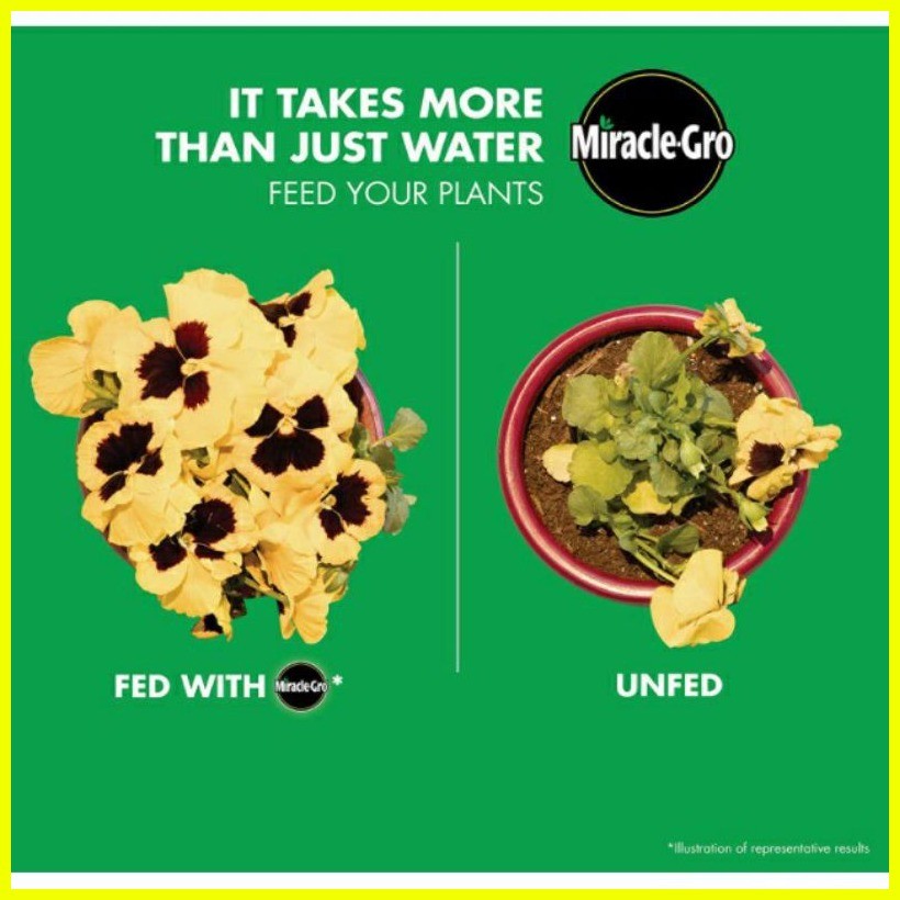 ⊙ Miracle Gro Water Soluble All Purpose Plant Food 20grams Repacked