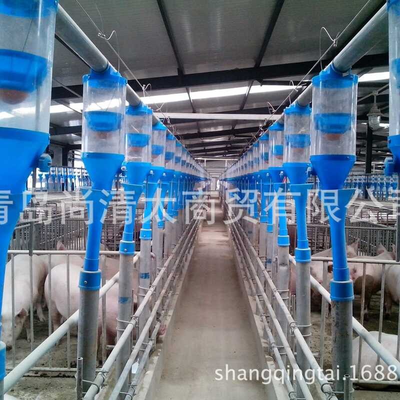 Swine Farming Automatic Feeding Line System For Pigs Full Set Of ...
