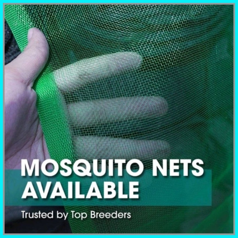 (8ft x 10ft) length KULAMBO SHADED BILARAN NG PALAY SCREEN NET | Shopee ...