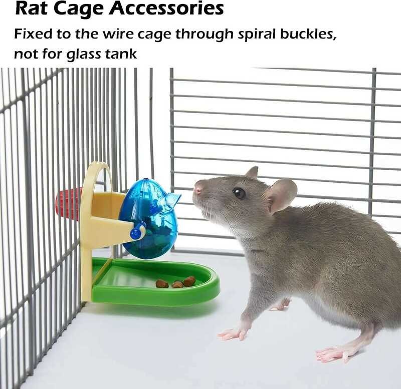 Enrichment Rat Interactive Foraging For Rats Intelligence Growth Rat ...