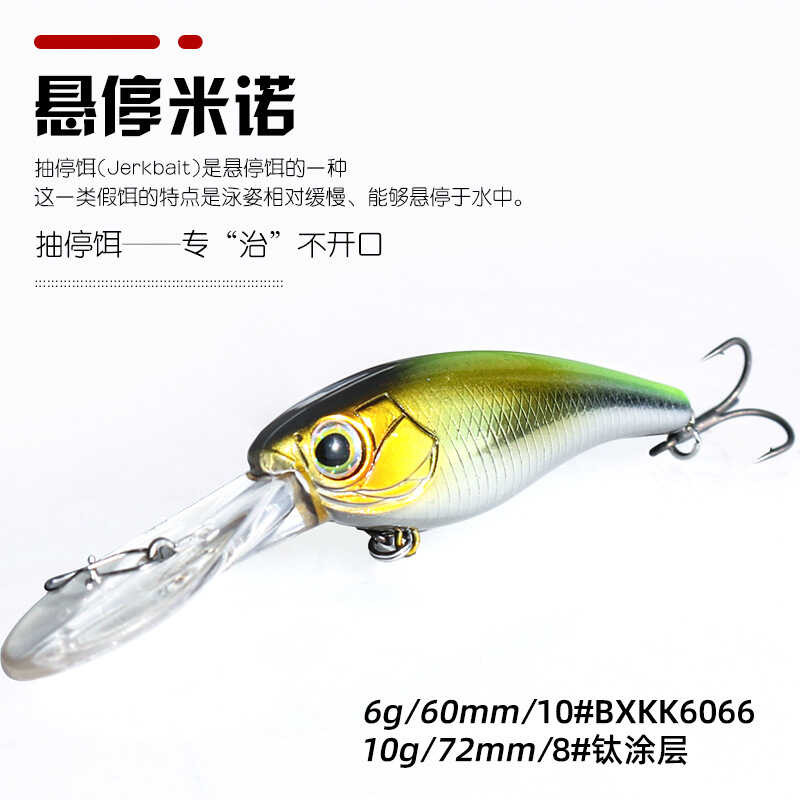 Lixin 6g/10g Stop Bait Long Tongue Minnow Fake Bait Suspended Minnow ...