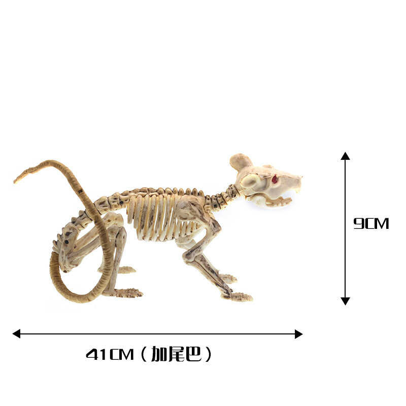 Halloween Skeleton Skeleton Piranha Lizard Spider Mouse Bat Scorpion ...