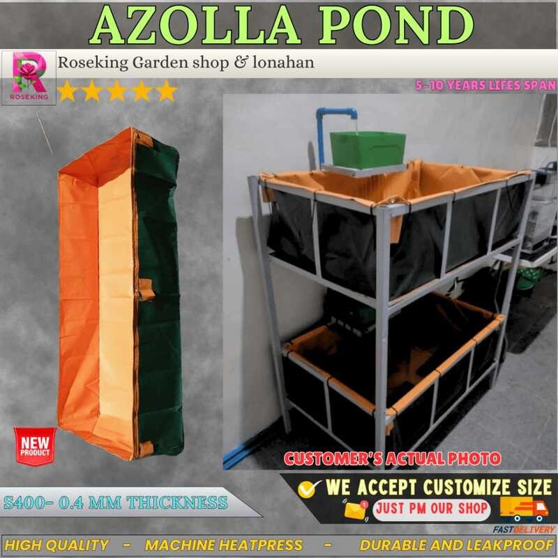 Crayfish Tank, Azolla Pond Fish 3X7x1ft S400 Mkapal Order Now XCC ...