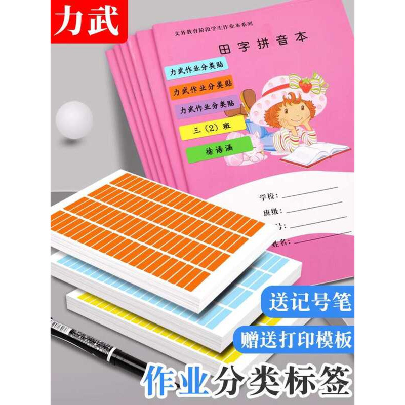 Rainbow Classification A4 Colorful Label Name Essential Class Teachers ...