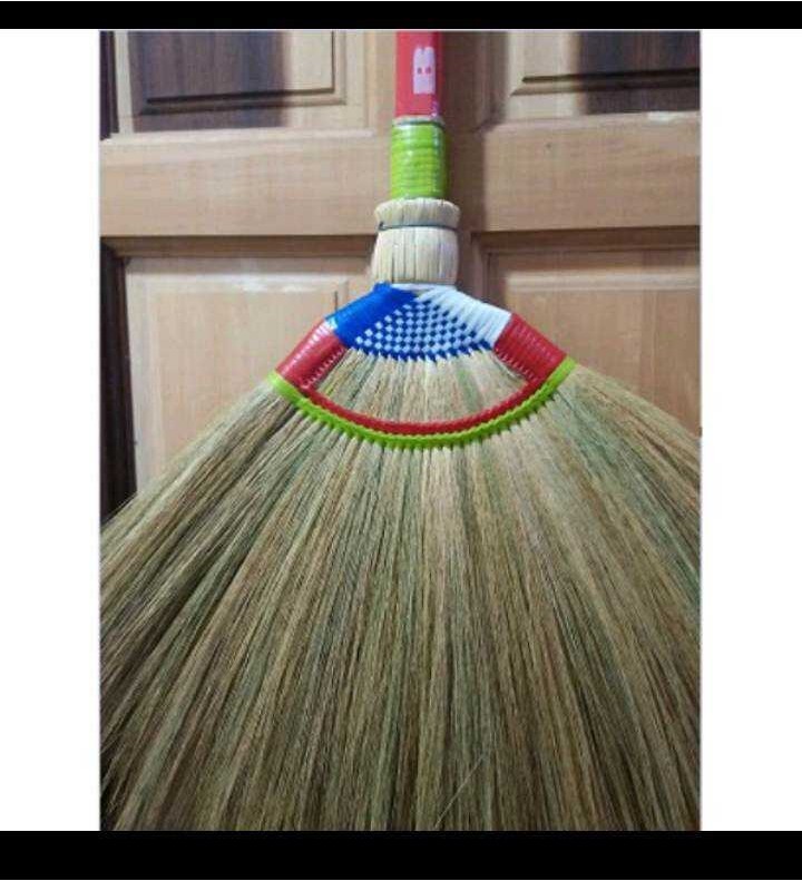 Baguio Walis Tambo Soft Broom | Shopee Philippines