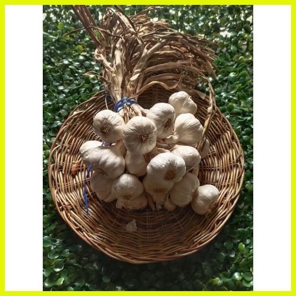 Bawang Tagalog/Garlic 500grams per Order | Shopee Philippines