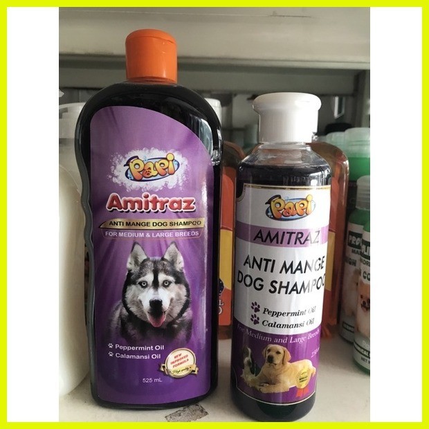 Anti mange shampoo best sale