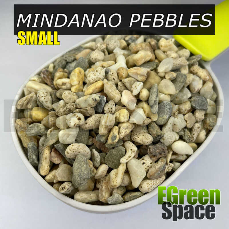 Assorted Mindanao Pebbles - 1Kg (Small) 20B | Shopee Philippines