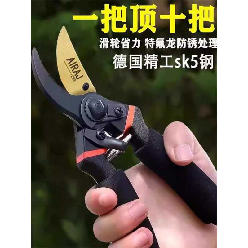 German Precision Craft for Branches, Pruning Fruit Tree Shears ...