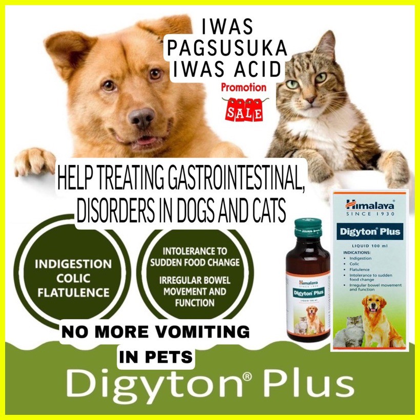 Himalaya Digyton Plus Digestive Stimulant For Dogs And Cats 100ml ...