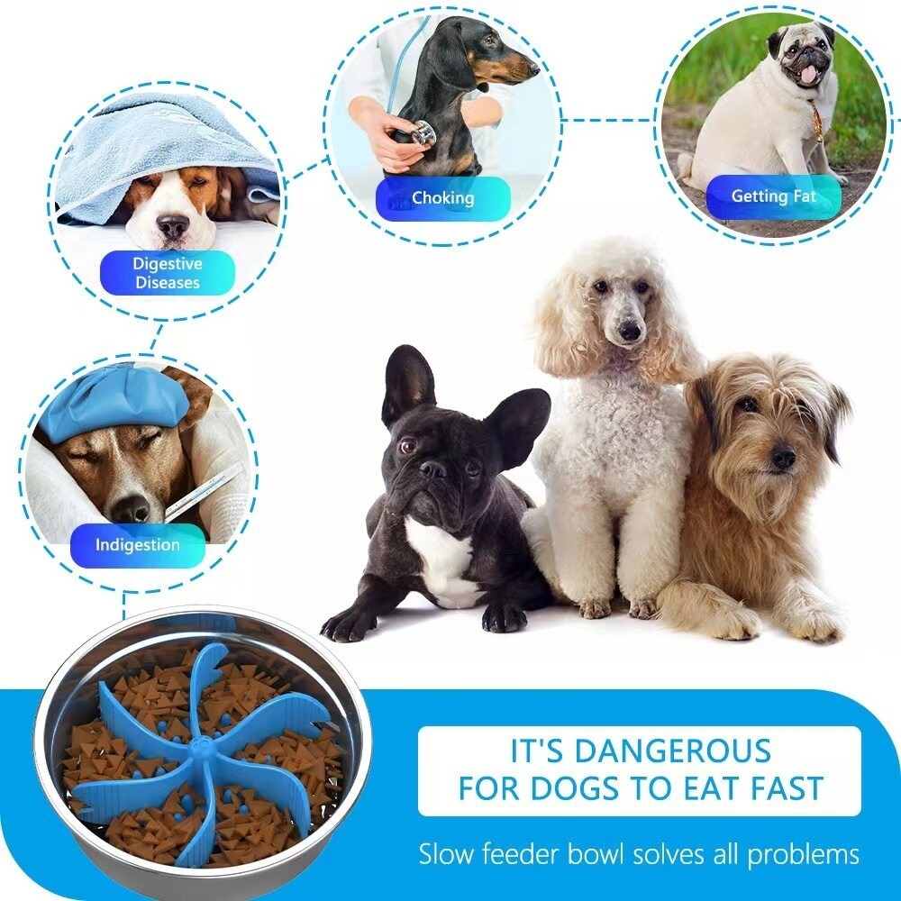 View of Pawsome Pet Slow Feeder Dog Bowls Slow Eating Dog Bowl for Small Breed ...