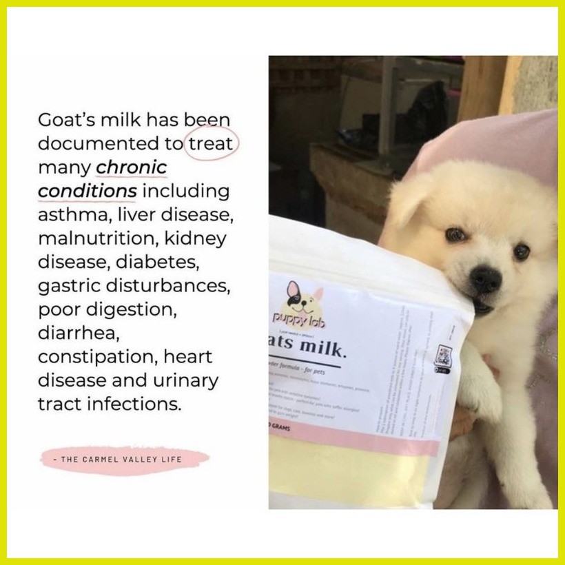 ∈ ☸ Puppy Lab Goats Milk Powder for Dogs Cats Pets 200 g (1 Pack