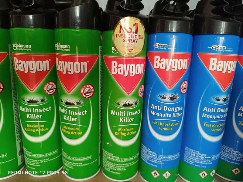 Baygon Insect Killer Spray 600Ml 6Cc | Shopee Philippines