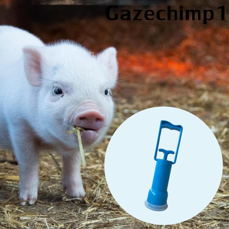 Plastic Piglet Rebreather Assisted Breathing Pump Sputum Suction Device ...
