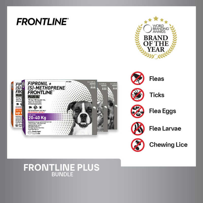 Frontline Plus For Dogs 3 Pipettes / Box Anti Tick And Flea Spot-On ...