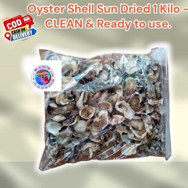 OYSTER Shell 1 Kilo BIO Filter Media TALABA Sun Dried E9d 52F | Shopee ...