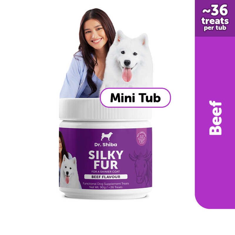 Dr. Shiba Silky Fur Mini Tub Beef 90g Healthy Treats Supplement Snack