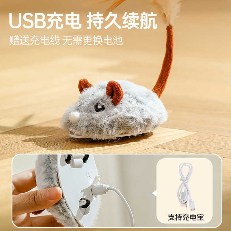 Game: Personal Loans Explanation, Electric Mouse Stick God Teasing ...