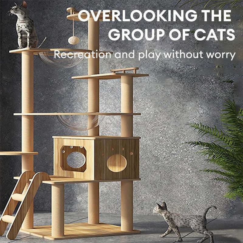 sk, Springboard, Spaceship, Cat Bed, 【Give Frame, Villa, Obelisk ...