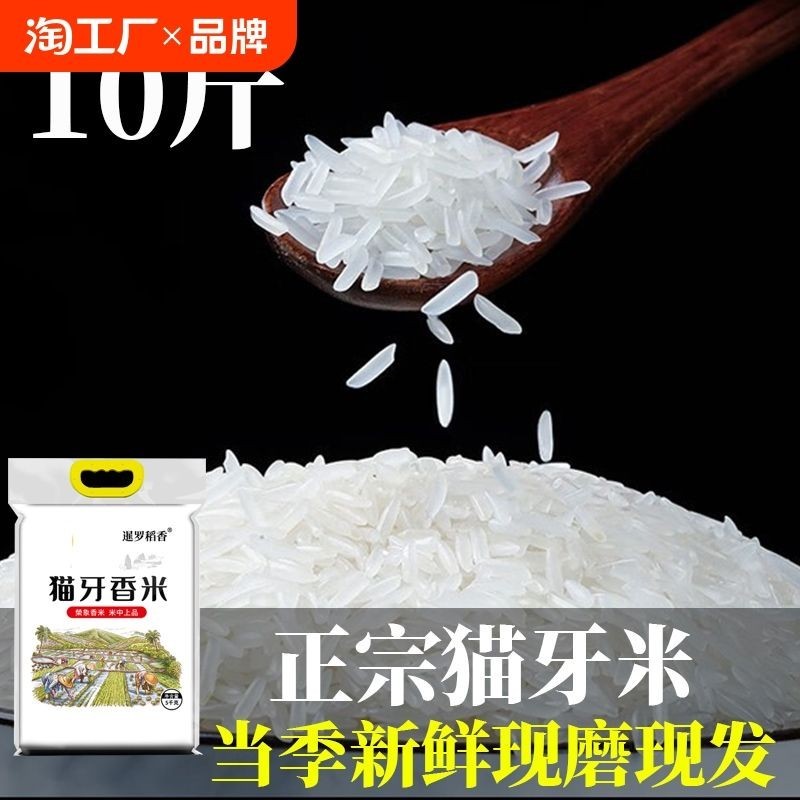 Cat Tooth Fragrant Rice Guangxi Shouxiang Shanglin Specialty Farm Night ...