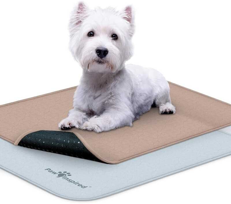 Paw Inspired Washable Pee Dogs (2 Pack) Leakproof, NonSlip Crate
