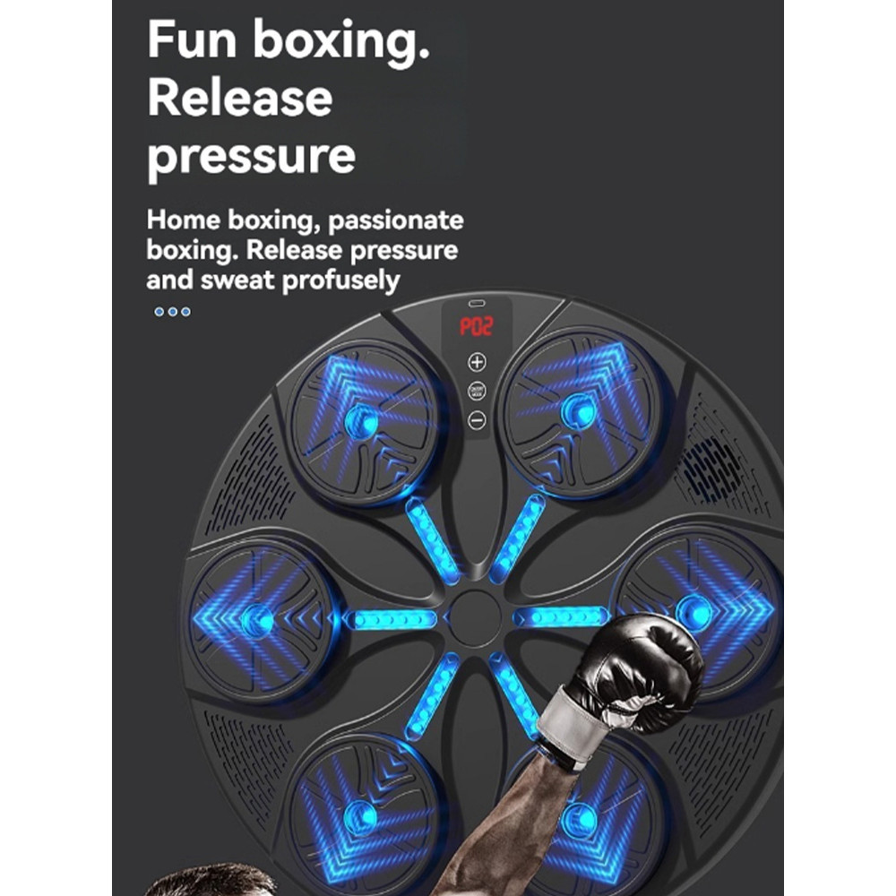 Smart Music Boxing Reaction Target Striking Rhythm Wall-Mounted ...