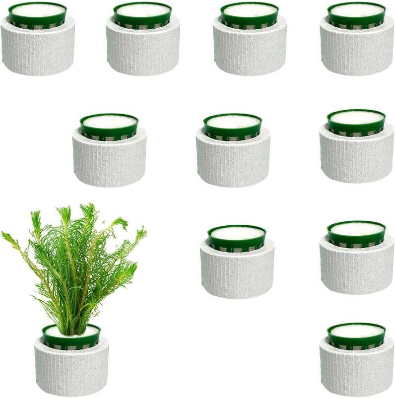 TTFdacai 10 PCS Aquatic Ring Set,Anti-ating Ceramic Aquarium Plant ...
