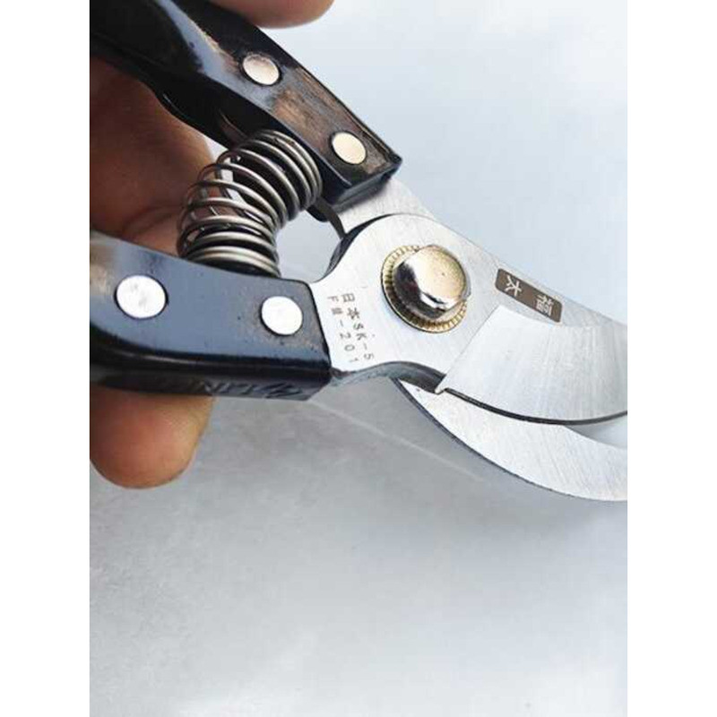 Black Fortune SK Branch Fruit Tree Scissors Pruning Shears Garden Tools ...