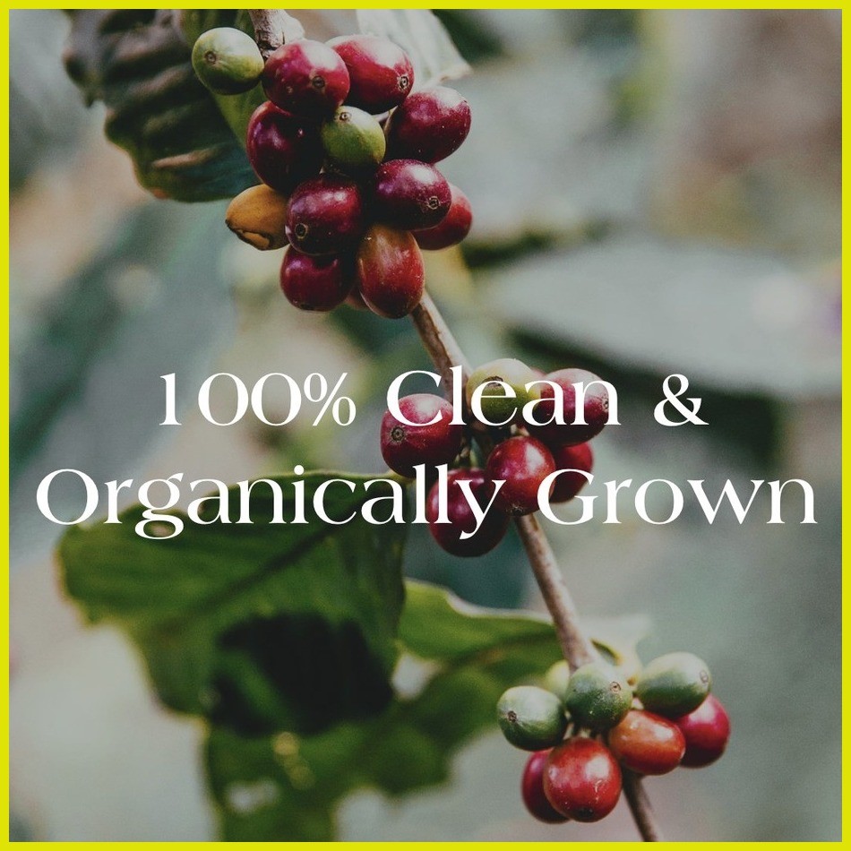 ⊕ ☾ ۩ Saint Nicholas Cordillera Espresso Blend Medium to Dark Roast