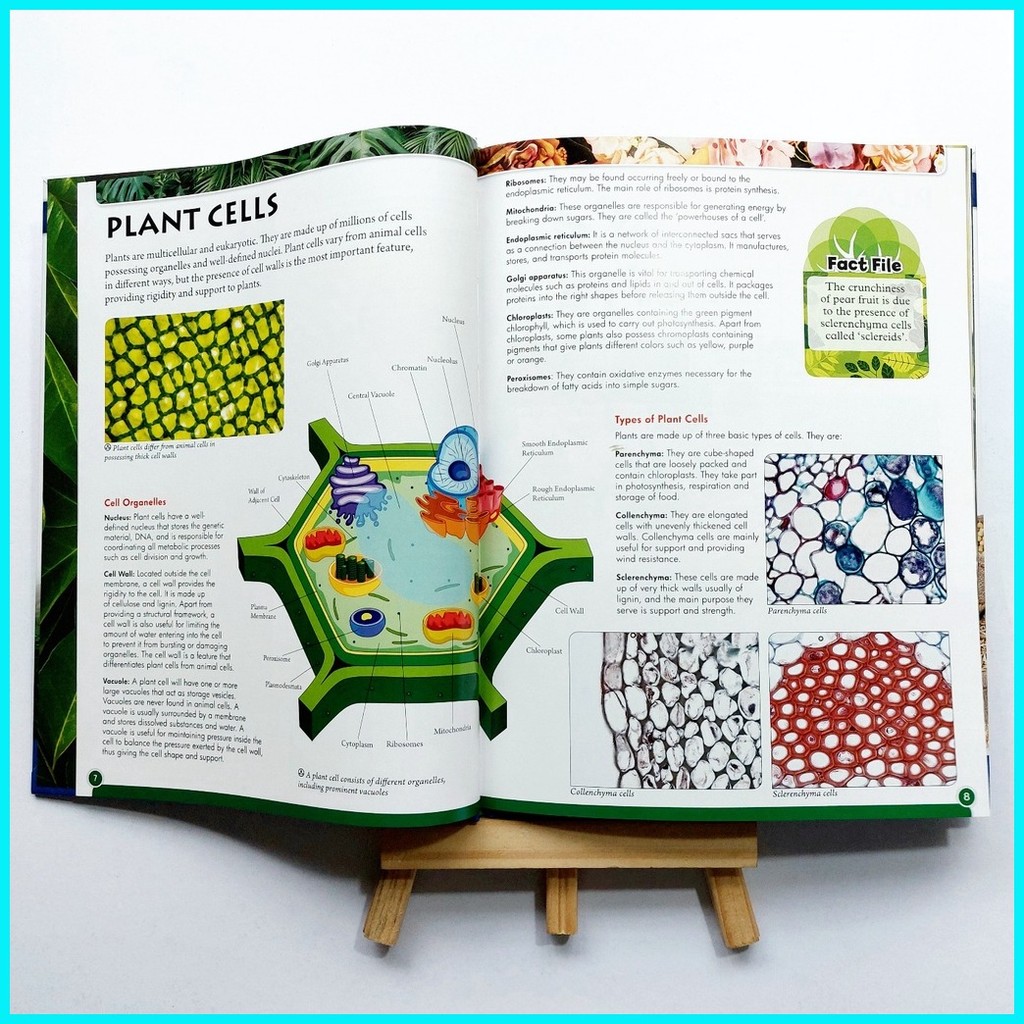 Wonders of Learning Discovery Botany - A First Introduction to Science ...