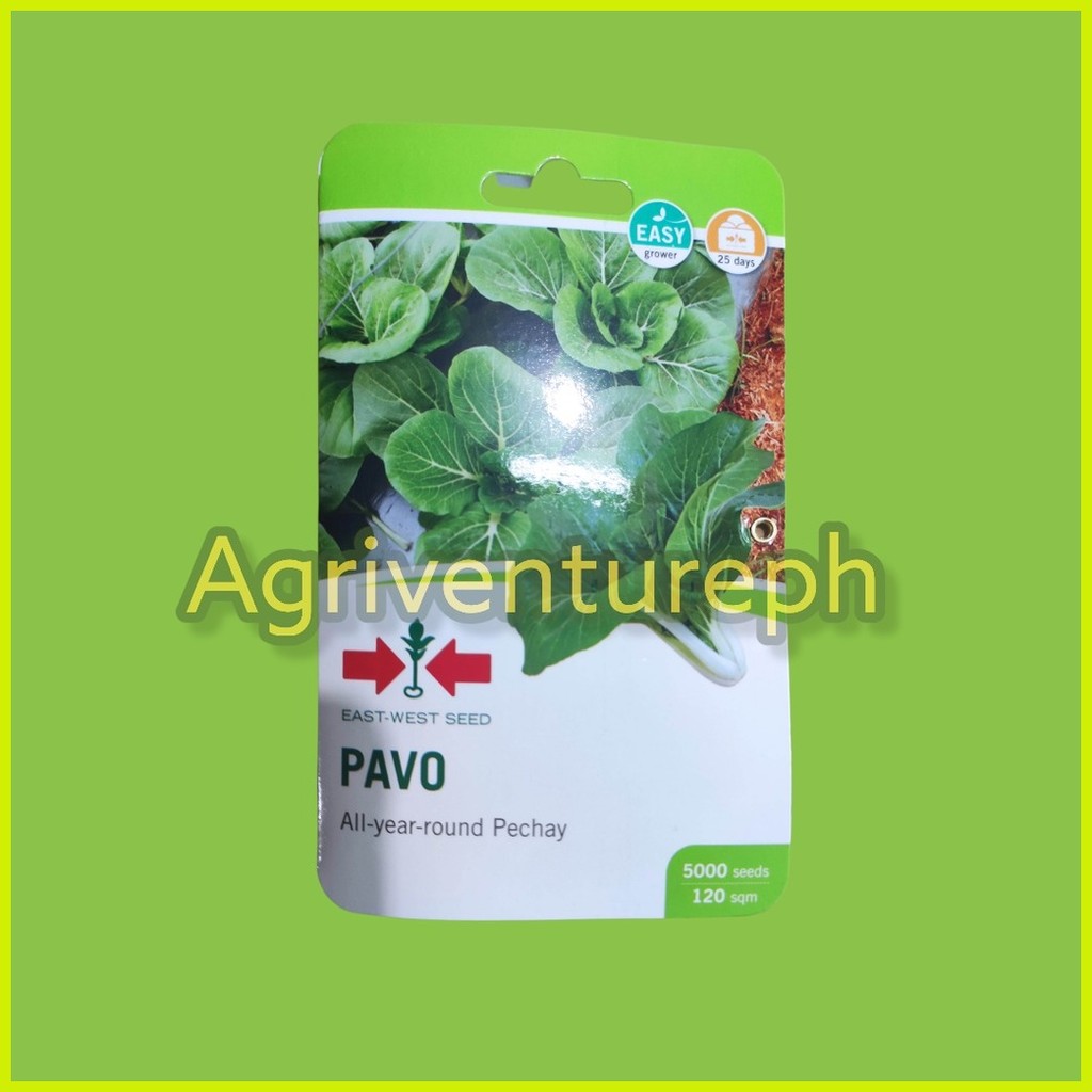 EAST-WEST SEED PAVO OPV PECHAY SEEDS BLACK BEHI TYPE PETCHAY PAVO (5000 ...