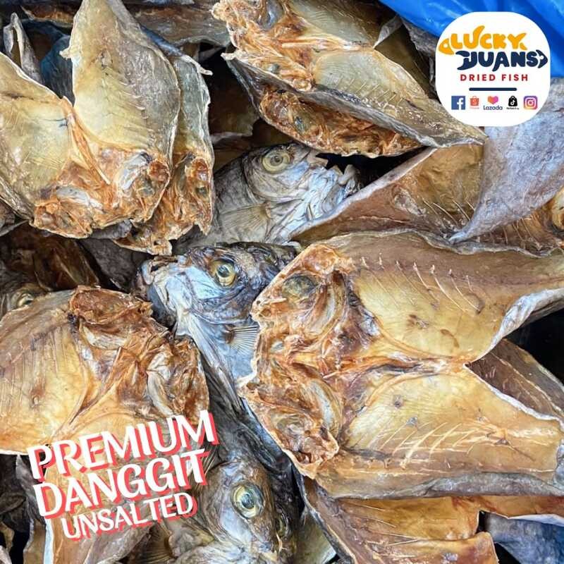 Premium Unsalted Danggit 100G (Export Quality) | Shopee Philippines