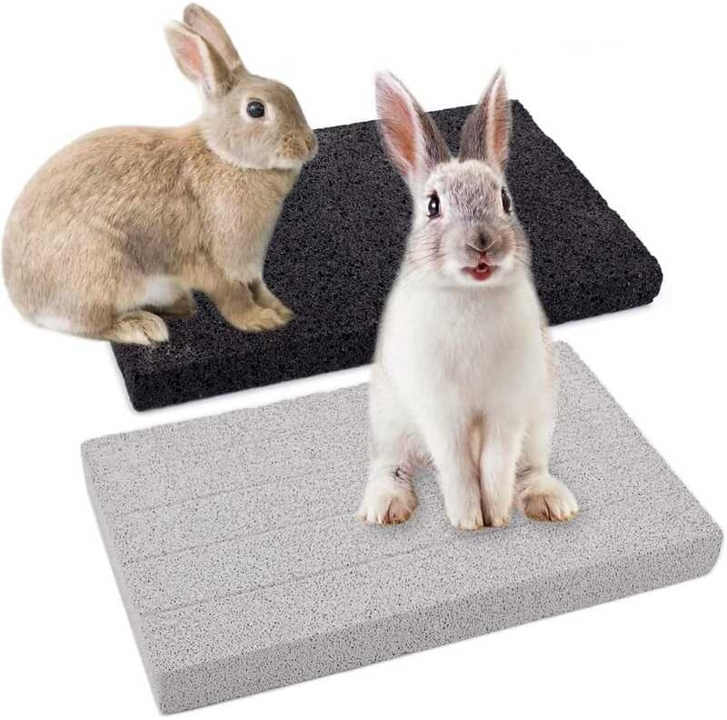DQITJ 2 Pack Claw Pad Lava Grinding Teeth Stone for Rabbit Bunny Guinea ...