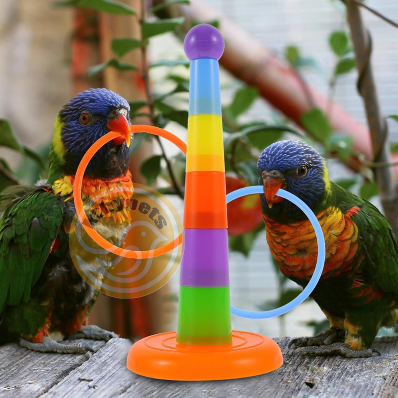 Parrot Bird Ring Toy for lovebird Solid Wood Educational Bird Supplies ...