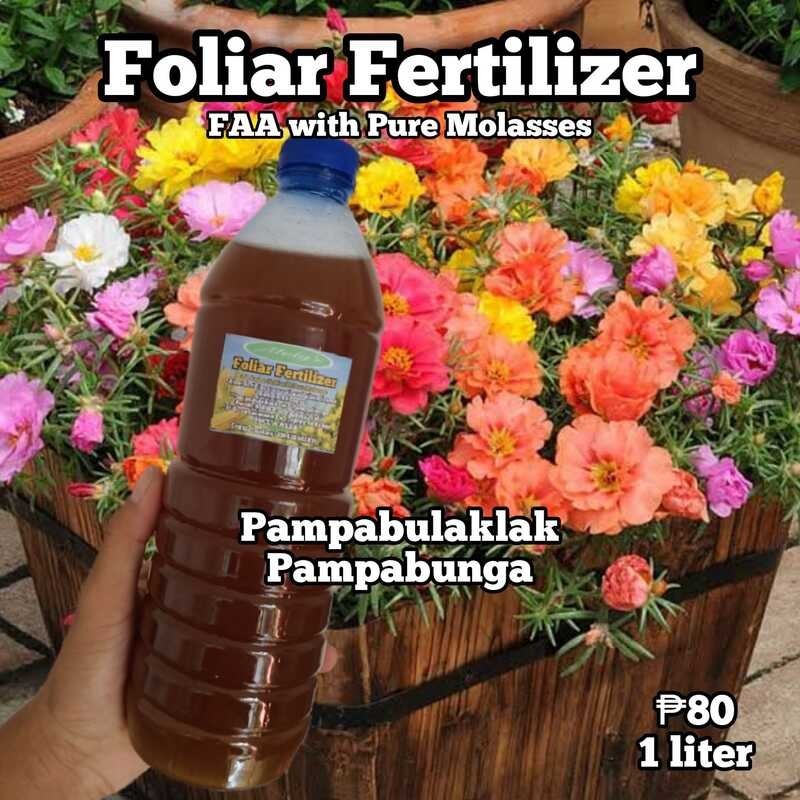 Fish Amino Acid(FAA) na may Pure Molasses (1000ML) Foliar Fertilizer Shopee Philippines