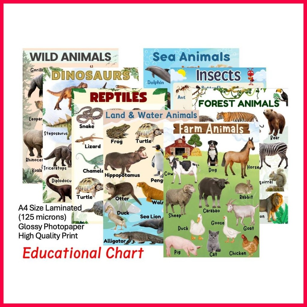 ۞ 8pcs Animal Educational Chart - A4 Size - Laminated Wall Chart for ...
