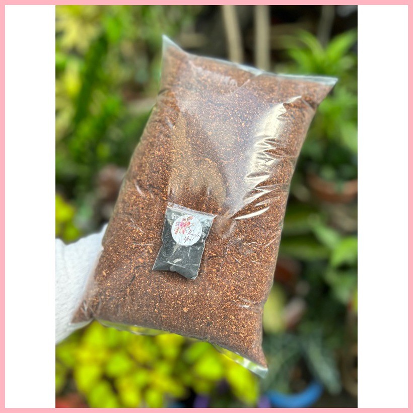 ∈ ☍ ♞,♘Organic Cat Litter Sand Absorbent and Non-toxic with free ...