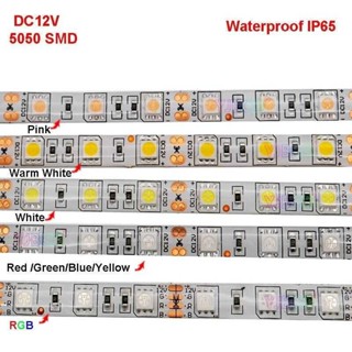 Dc V Meters Cct White Warm Red Green Blue Rgb Rgbw Rgbww Rgbcct Led Strip Tape A Shopee