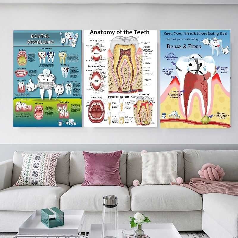 Dental Problems Poster Clinic Dentist Anatomy Of The Teeth Mural Wall ...