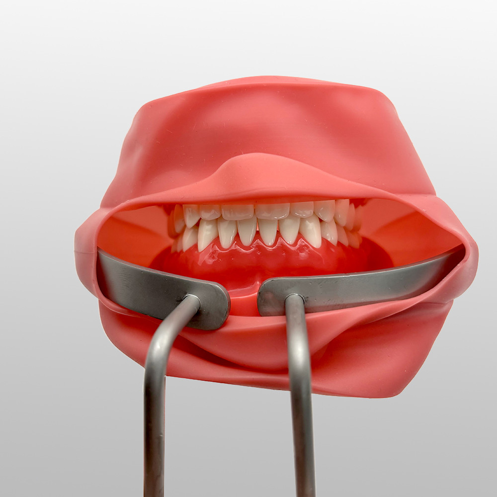 Dental Vestibulum Retractor Stainless Steel Mouth Opener With Flap Oral