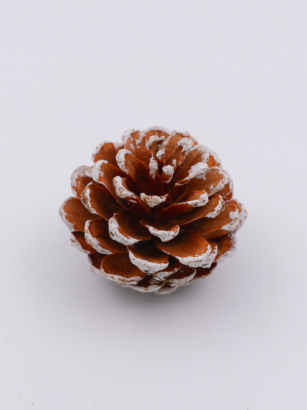NUVOX 9pcs/5cm Christmas Artifical Pine Cones Decoration with Rope Xmas ...