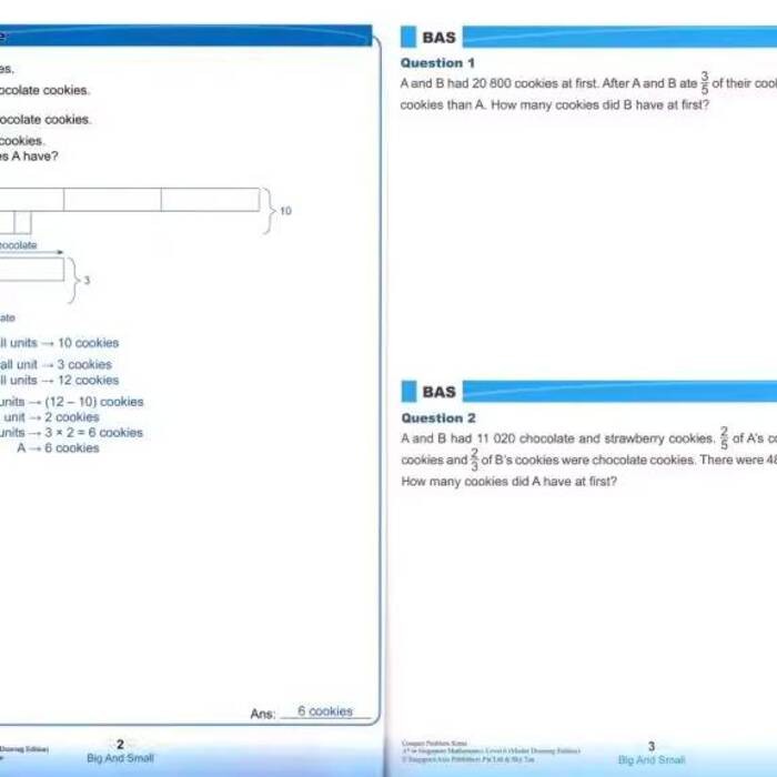 Singapore Mathematics SAP Conquer Problem Sums A In Singapore ...